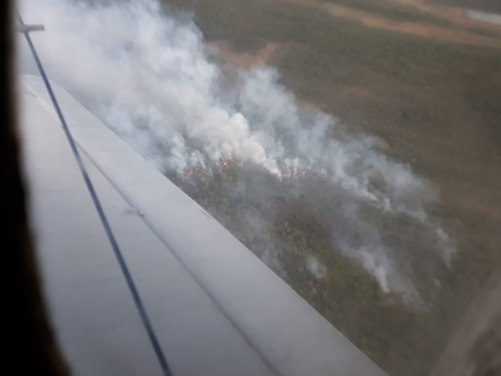 Работы по авиационной охране лесов от пожаров