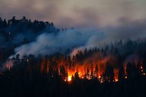 Работы по авиационной охране лесов от пожаров
